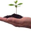 Finanziamenti a Fondo Perduto in Agricoltura