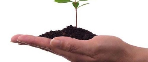 Finanziamenti a Fondo Perduto in Agricoltura